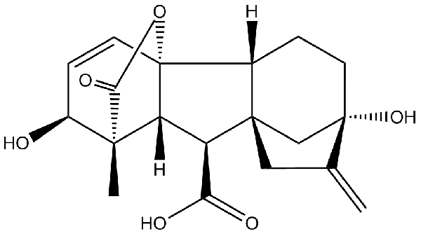 赤霉素GIBBERELLIC ACID，居然有這么神奇？
